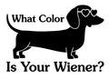 Wiener Dog Humor #1